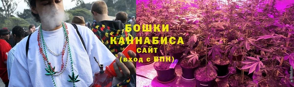 винт Аркадак