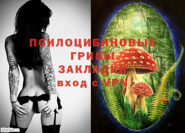 винт Аркадак